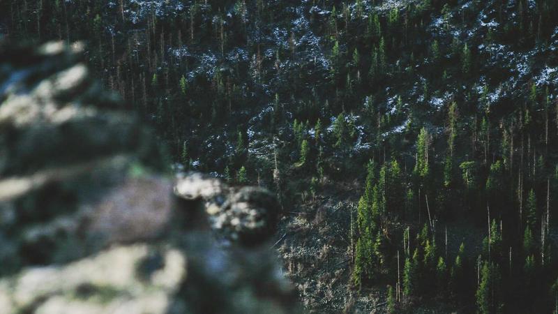 Ardent Health Faces Class Action as Stock Plummets 33% Amid Collectability Concerns