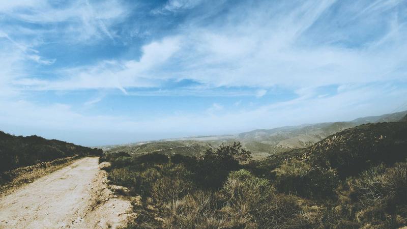 BellRing Brands Faces Class Action: What Investors Need to Know