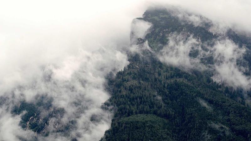 Coherus Oncology Launches Major Public Offering to Fuel Growth