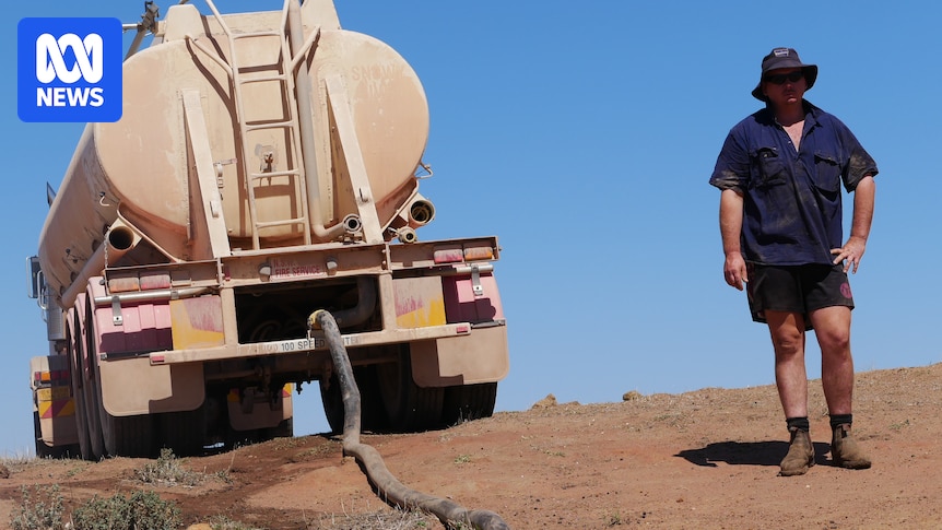 Drought Devastates New South Wales: Farmers Face Harsh Realities