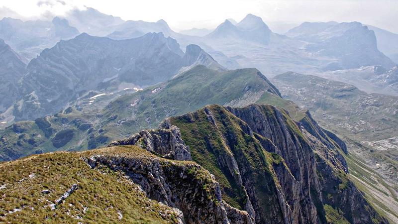 Economic Shifts: The Possibility of Zero Interest Rates and Market Trends