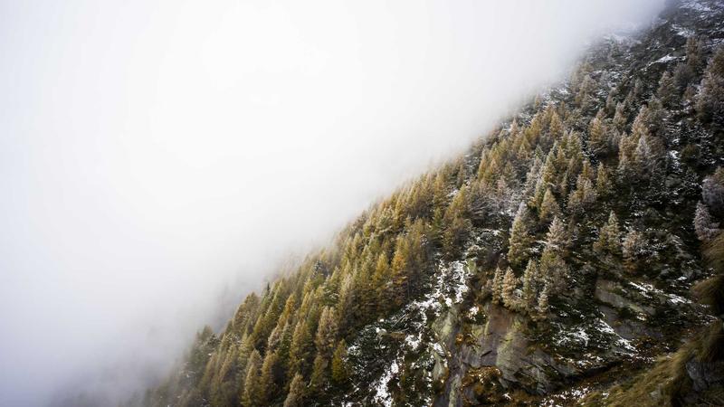 Economic Shifts: Will Interest Rates Drop to Zero Again?