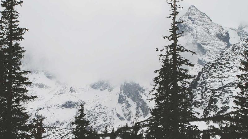 Everpure Emerges from Pure Storage: A New Era in Data Management