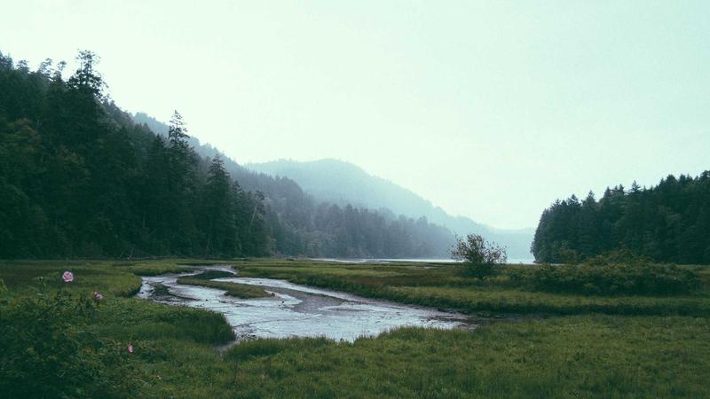 Exploring openclaw-stock-kit 3.1.1: A Robust Tool for Korean Stock Market Trading