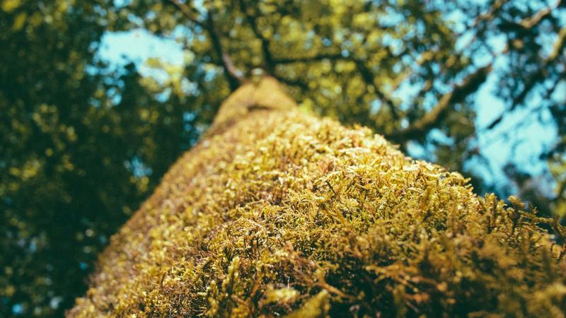 Hub Group Inc. Under Investigation for Possible Securities Fraud