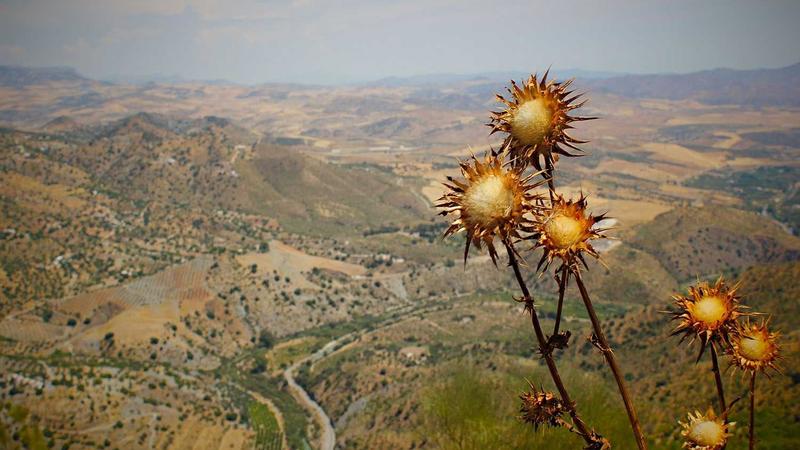 InnSuites Hospitality Trust's Strategic Investment Yields Breakthrough in UniGen Diversification