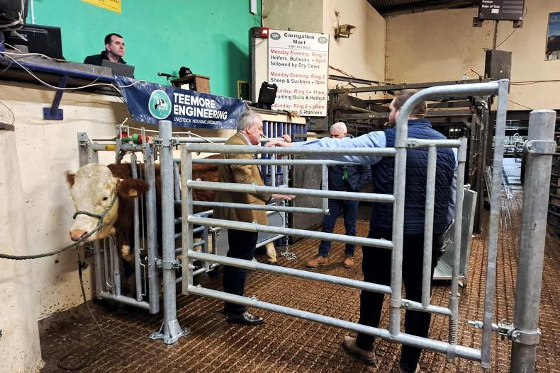 Insights on Farm Safety and Animal Health from Carrigallen Mart Event