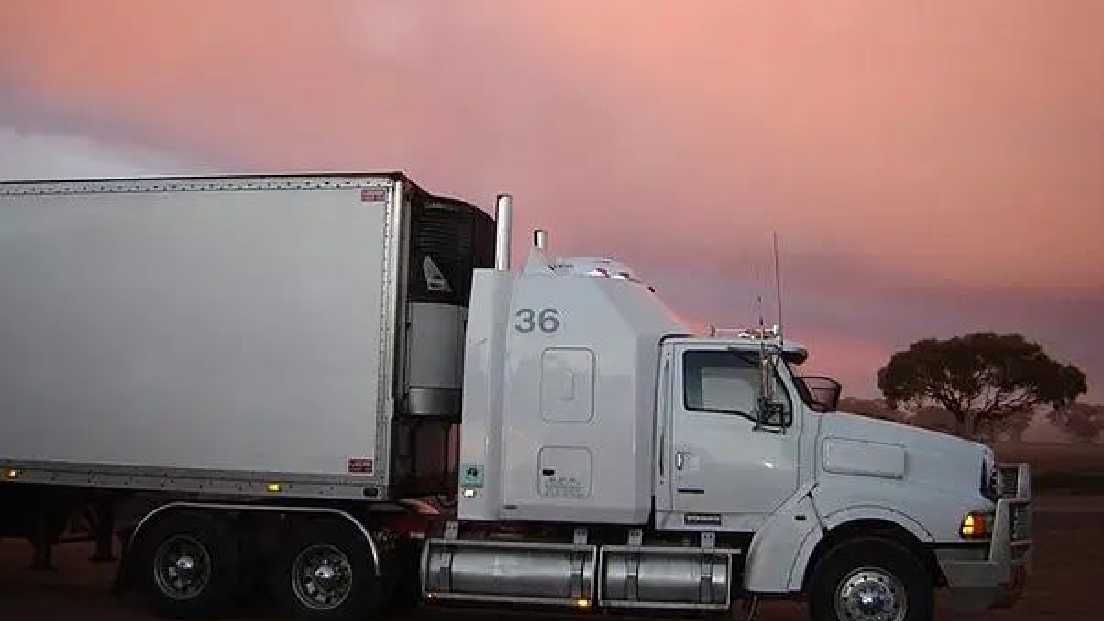 Market Turmoil: Freight AI's Surge Triggers Panic Selling in Logistics Stocks