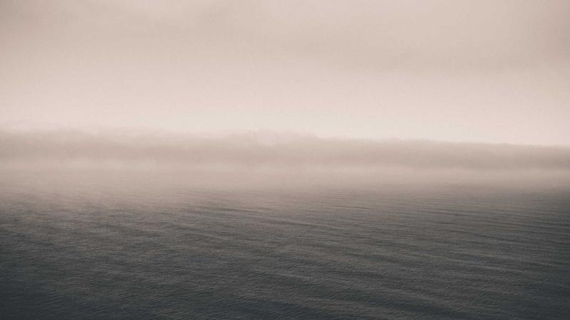 Psyence BioMed Expands Horizons with Strategic Investment and Put Option Exercise