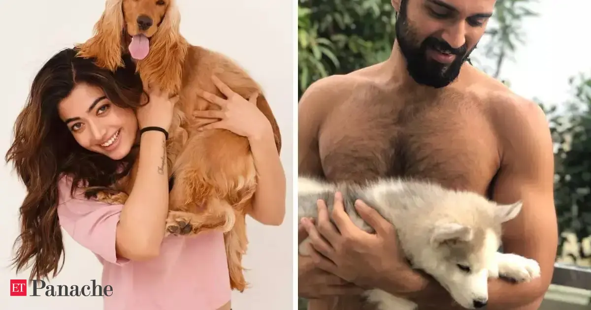 Rashmika Mandanna and Vijay Deverakonda: Love, Pets, and What Lies Ahead