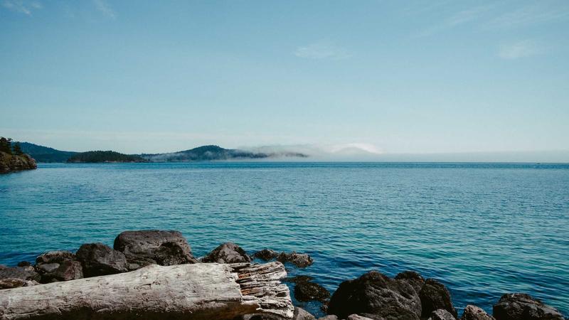 Rivian's Remarkable Earnings Propel Stock Surge Amid EV Market Challenges