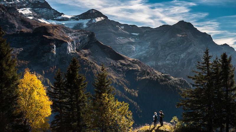 The Rise of Retail Investors: Transforming Wall Street Dynamics