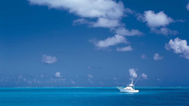 The Uncertain Future of AI Video Tools: A Market Analysis