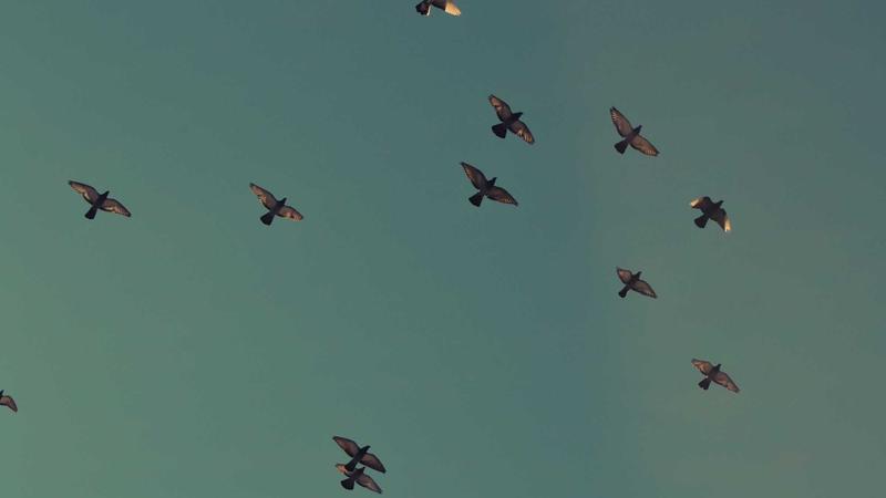 UFP Technologies Set to Reveal Q4 and Year-End Results on February 24, 2026