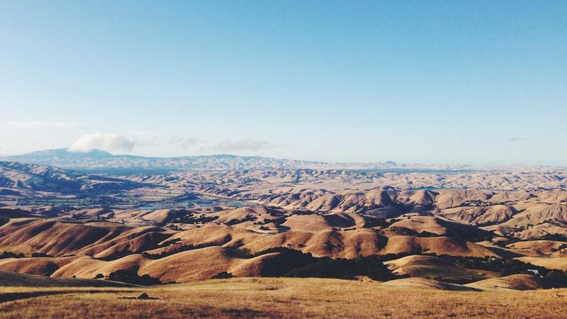 Unlocking Financial Insights: New MCP Server Launched on PyPI