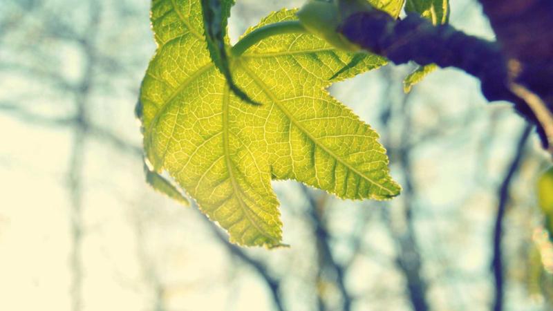 Unlocking the Potential of the Korean Stock Market with openclaw-stock-kit 3.4.0