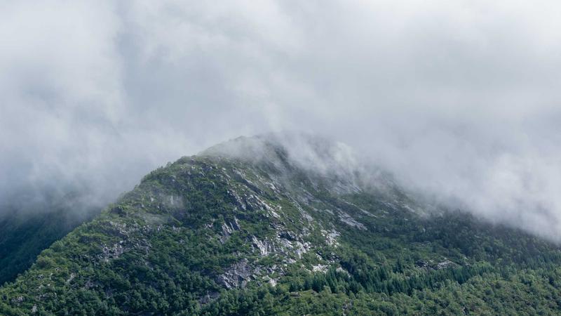 Unlocking Trading Success: AI-Powered Skills and Analysis Tools