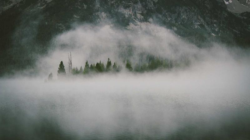 Unstoppable Growth: The Stock Leading the Market Rally