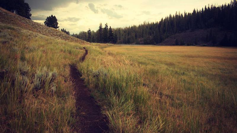 U.S. Economy Shows Unexpected Resilience Amid Policy Shifts