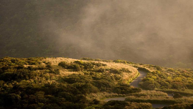 Wall Street Volatility: Tech Stock Concerns and Consumer Sentiment Impact Markets